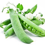 小小豌豆儿的头像