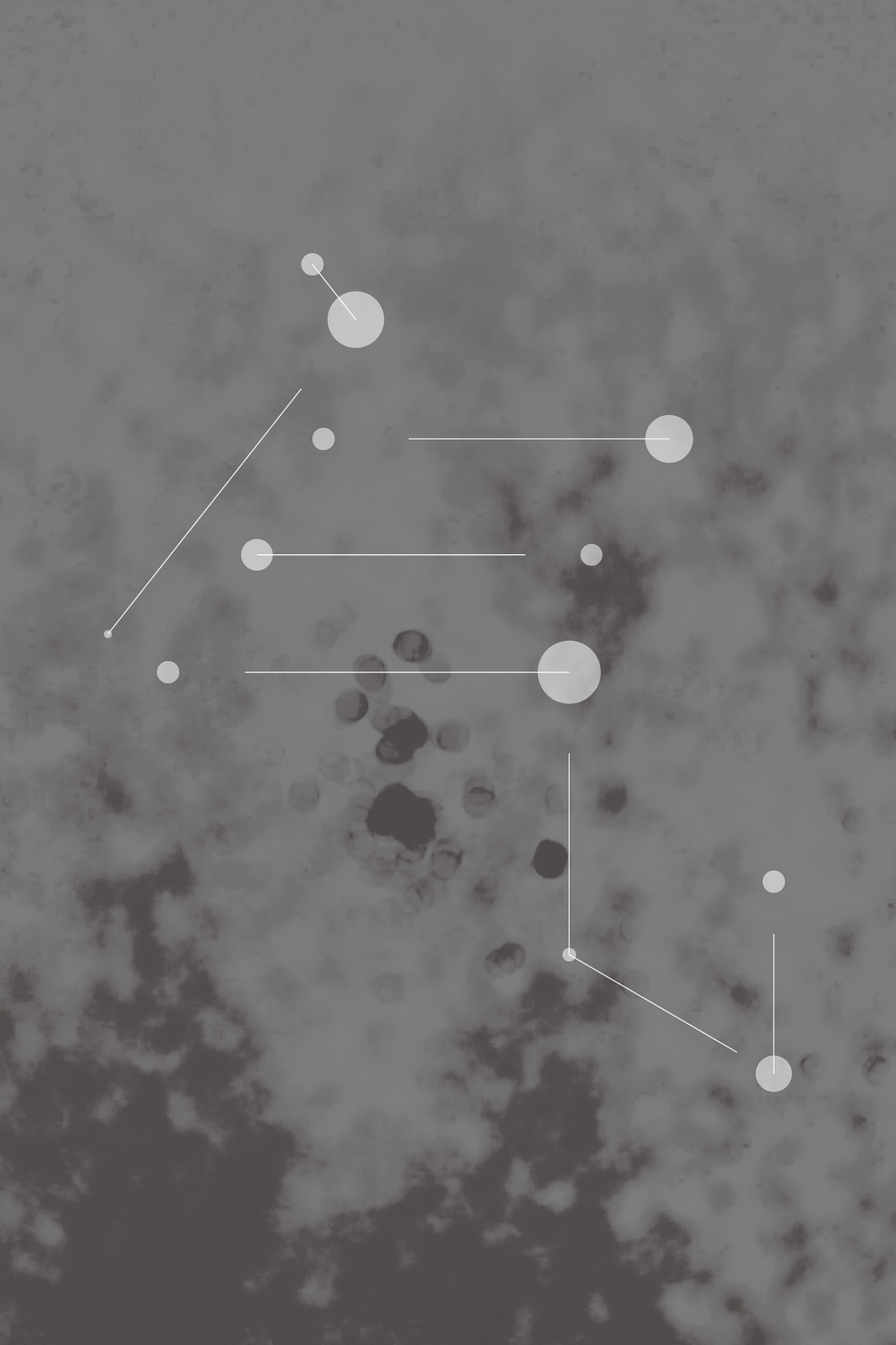 【招贴练习】 形神气韵