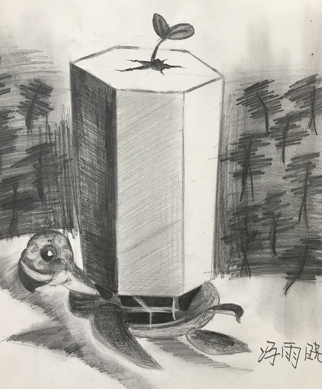 学生创意素描作品辑