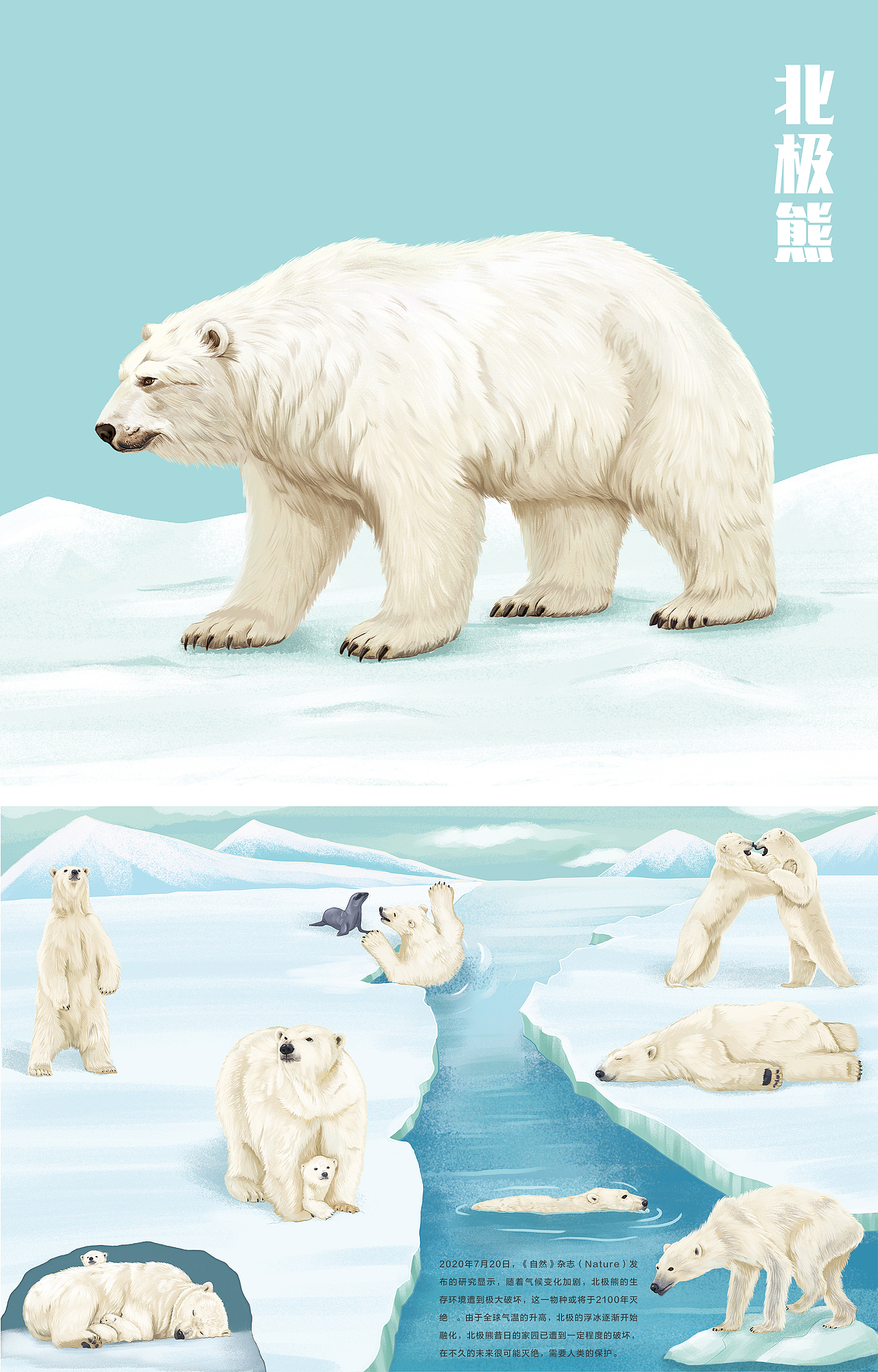 儿童绘本 图书插图配图 动物图解