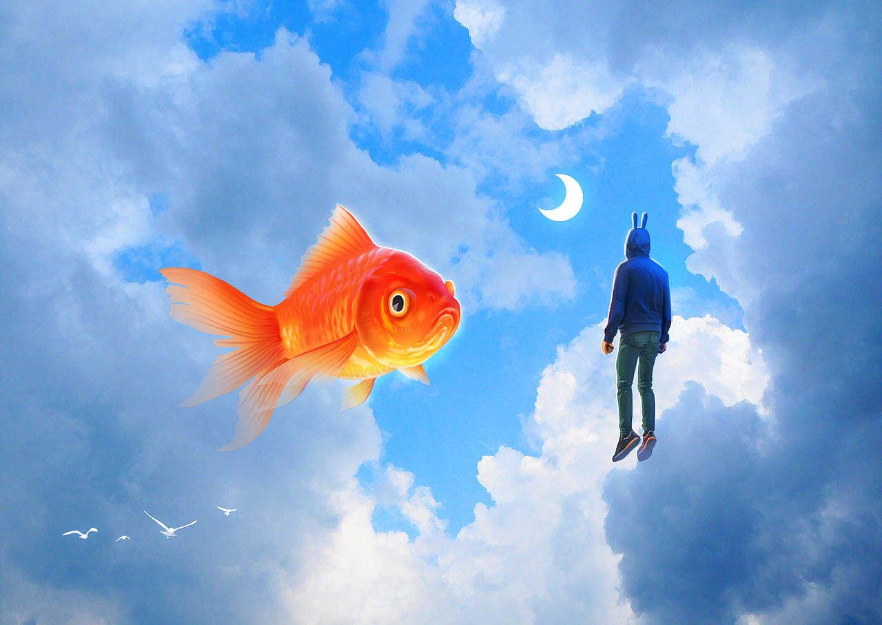 梦游捕鱼，与他人共寻的空手而归与自我觉醒