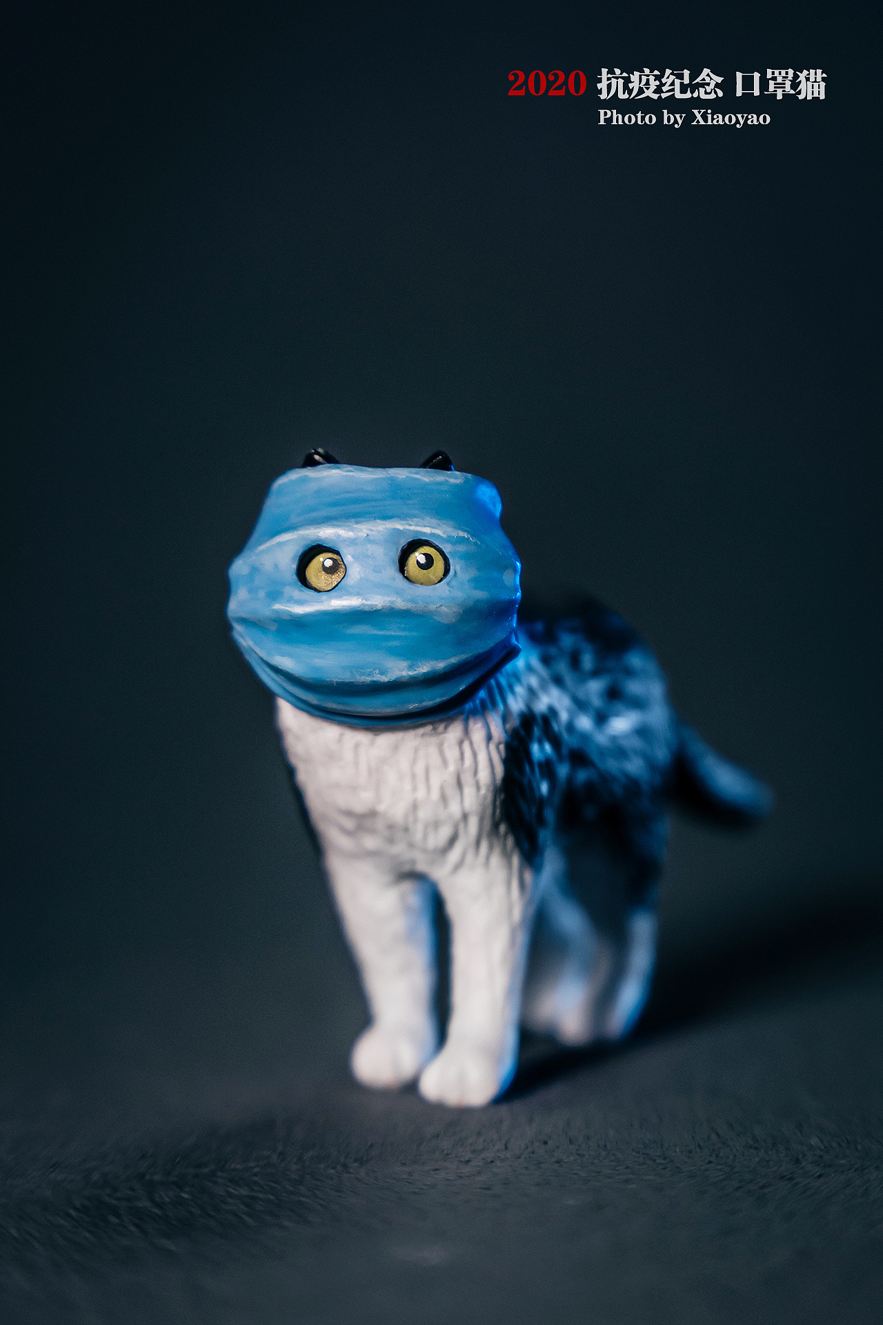 抗疫纪念——动物星球口罩猫手办摄影