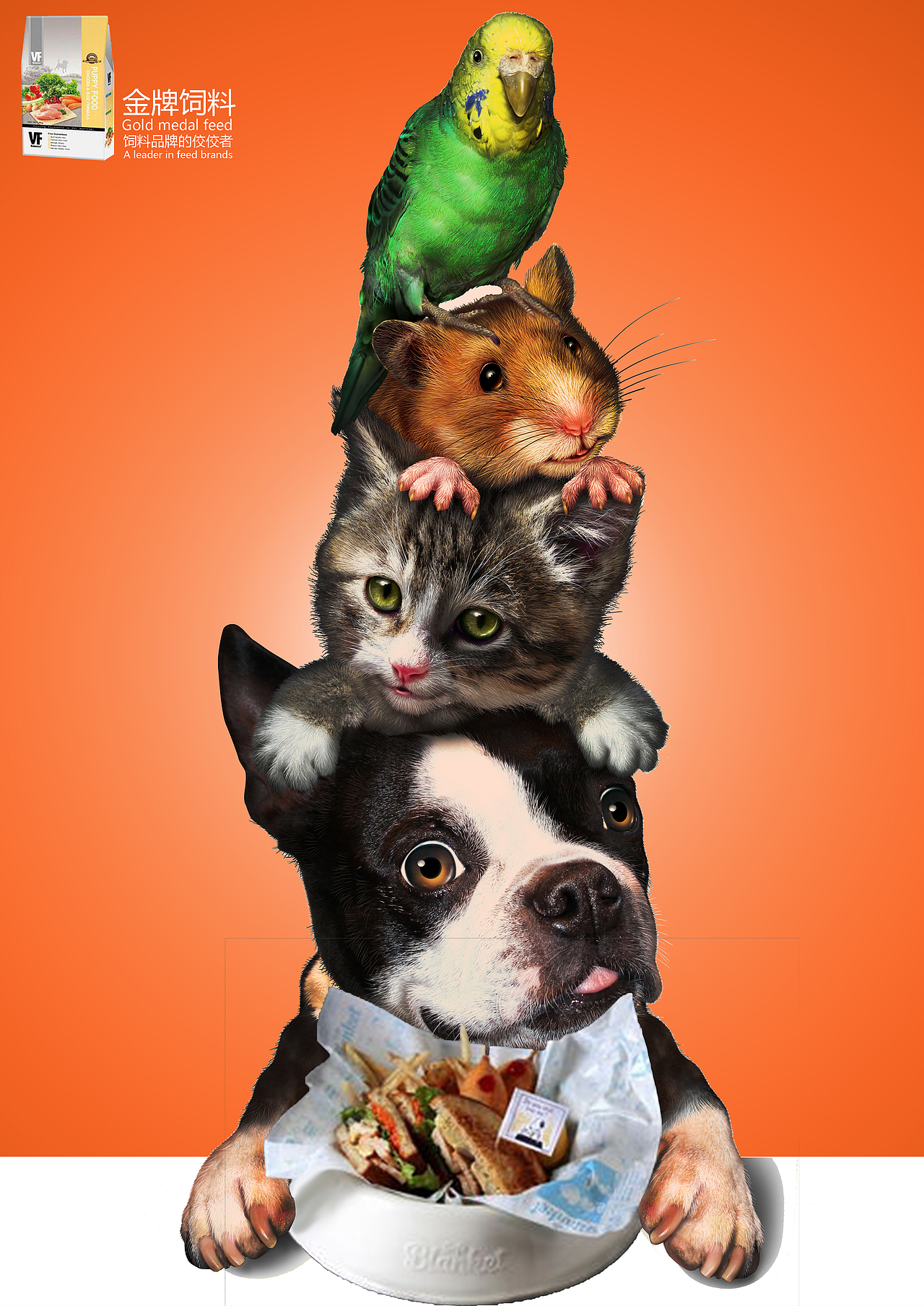 《宠物联盟》创意宠物材料广告设计（图ZOTg3NzQ1NTY=） - 海报 - 站酷设计师Z18439479原创素材 - 站酷ZCOOL