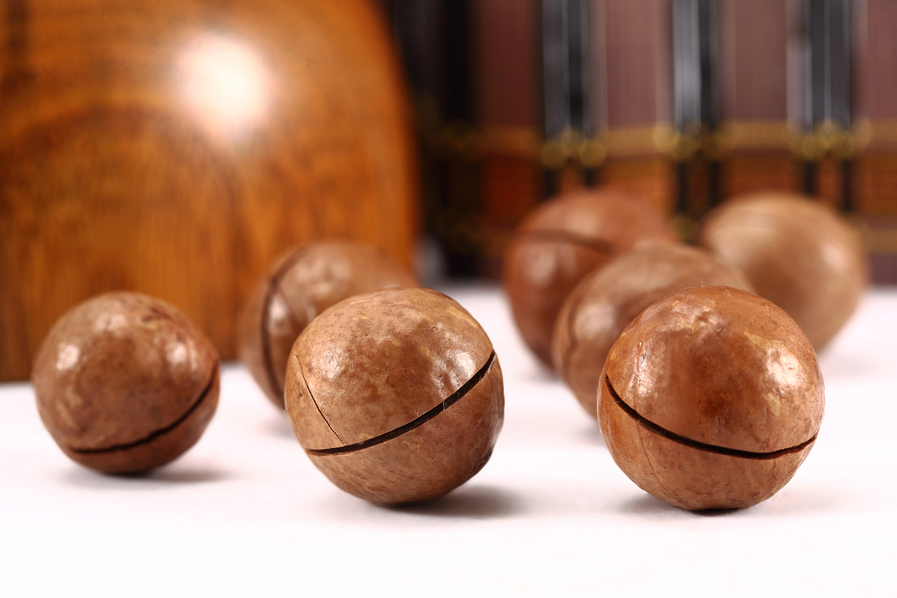 广州摄影公司/静物产品拍摄/食品拍摄/美食拍摄/干货拍（图ZMTk4MTcxMjI4） - 产品摄影 - 站酷设计师摄影师SamKing原创素材 - 站酷ZCOOL