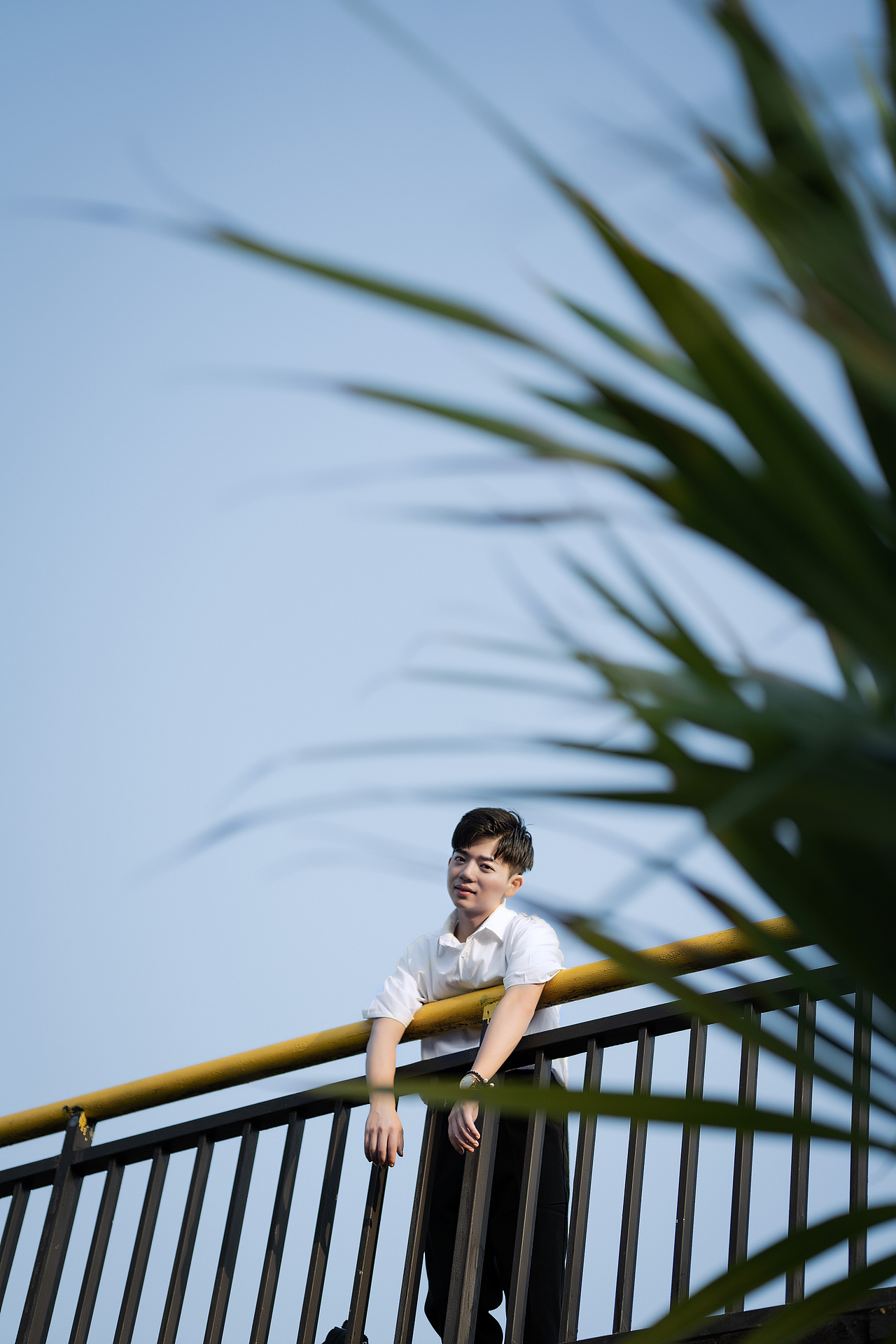 白衣少年∣总有一天 有一个人手捧鲜花 只为你而来