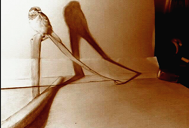 上传一组初中14岁时候画的彩铅吧。还有几张彩色圆珠笔，都是初中的。