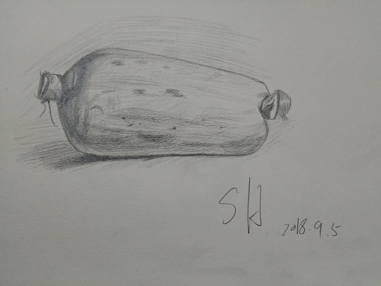 每天一画（图ZMTI3ODIwMjgw） - 创作习作 - 站酷设计师SH华少原创素材 - 站酷ZCOOL