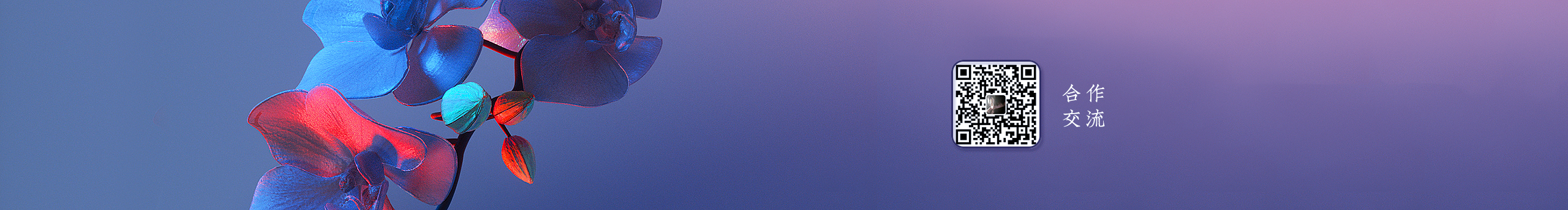 詞一的個人主頁（封面預(yù)覽） - 主頁封面設(shè)置 - 站酷設(shè)計師詞一原創(chuàng)素材 - 站酷ZCOOL