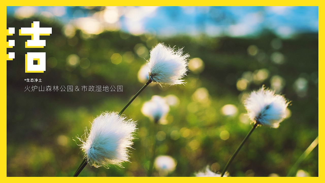 棉花堂（图ZMjAzMjY3MzI0） - 品牌 - 站酷设计师文庆超原创素材 - 站酷ZCOOL