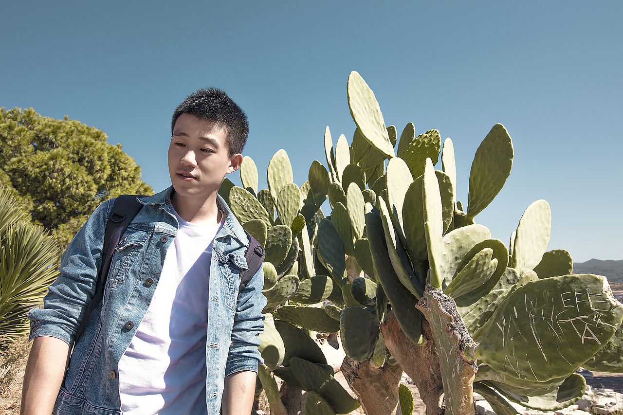 地中海岸土耳其