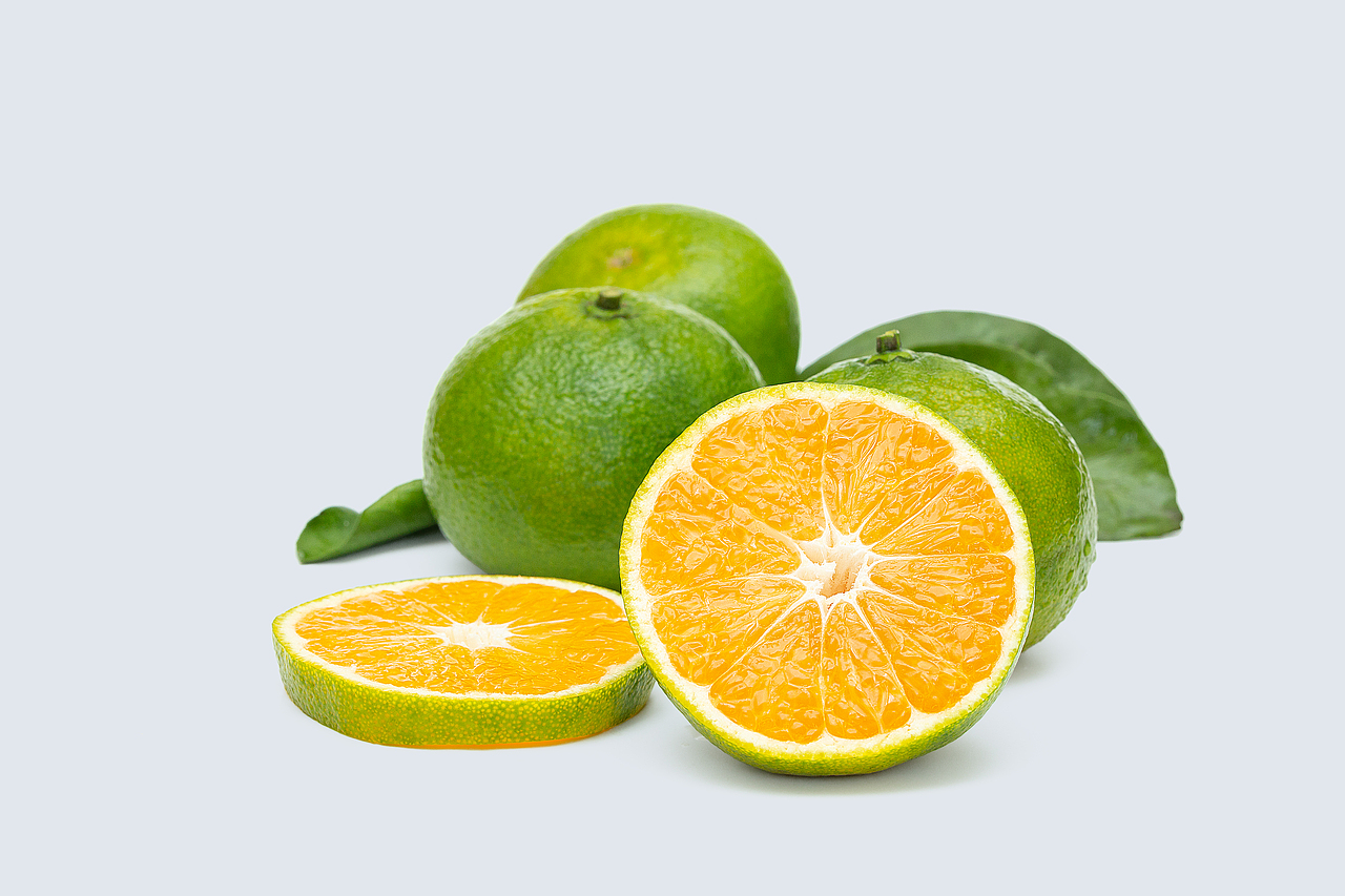 一组简单的柑橘照片