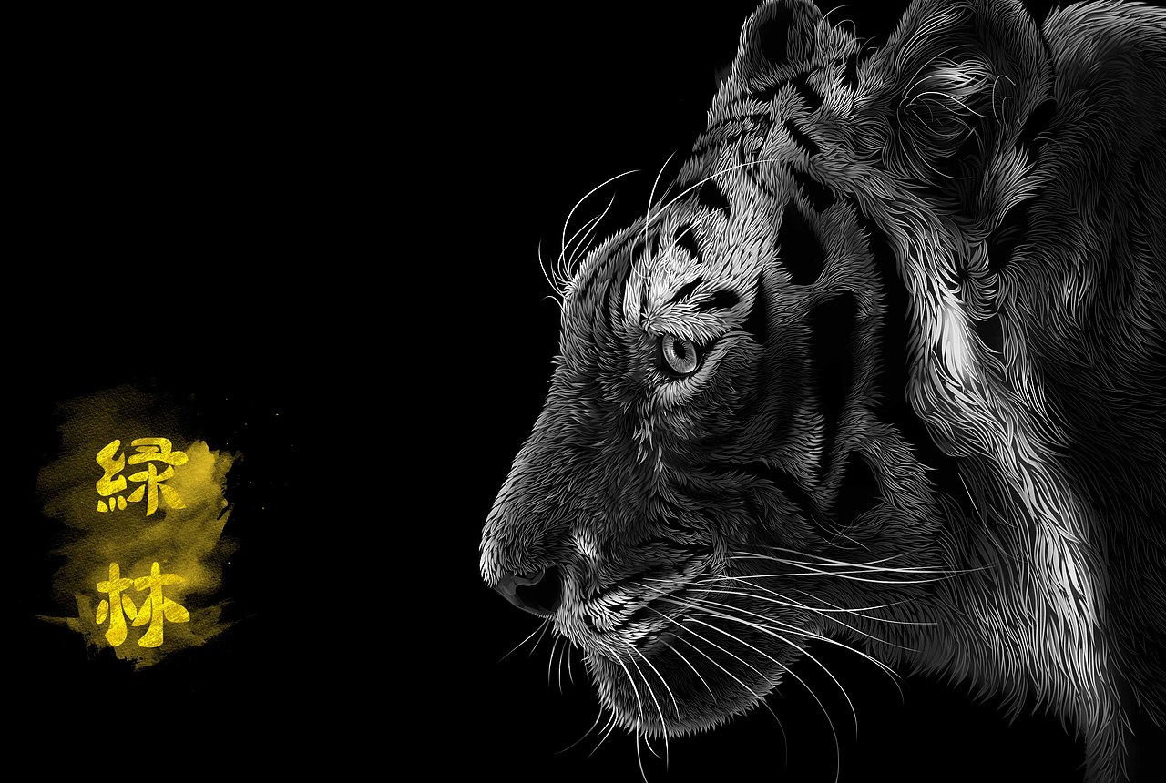 动物插画《绿林》系列