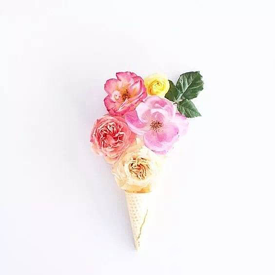 冰淇淋与鲜花（图ZMTE1Nzc1OTg0） - 海报 - 站酷设计师君子姑娘原创素材 - 站酷ZCOOL