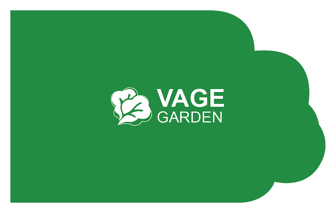 素食-原创模拟案例