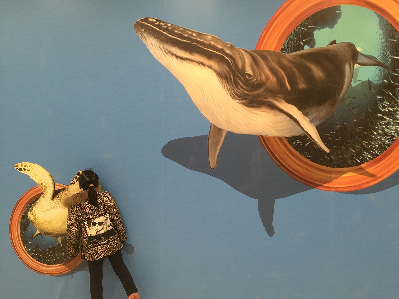 北京3d立体画个性墙体彩绘之【海洋动物】作品展示