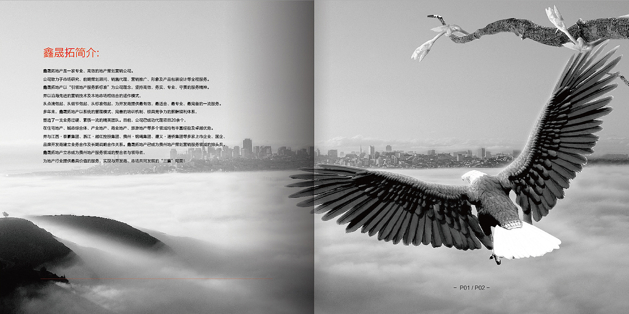 地产经纪公司画册设计（图ZMTk1Nzg5NTY=） - 书籍/画册 - 站酷设计师jiangwenhong原创素材 - 站酷ZCOOL