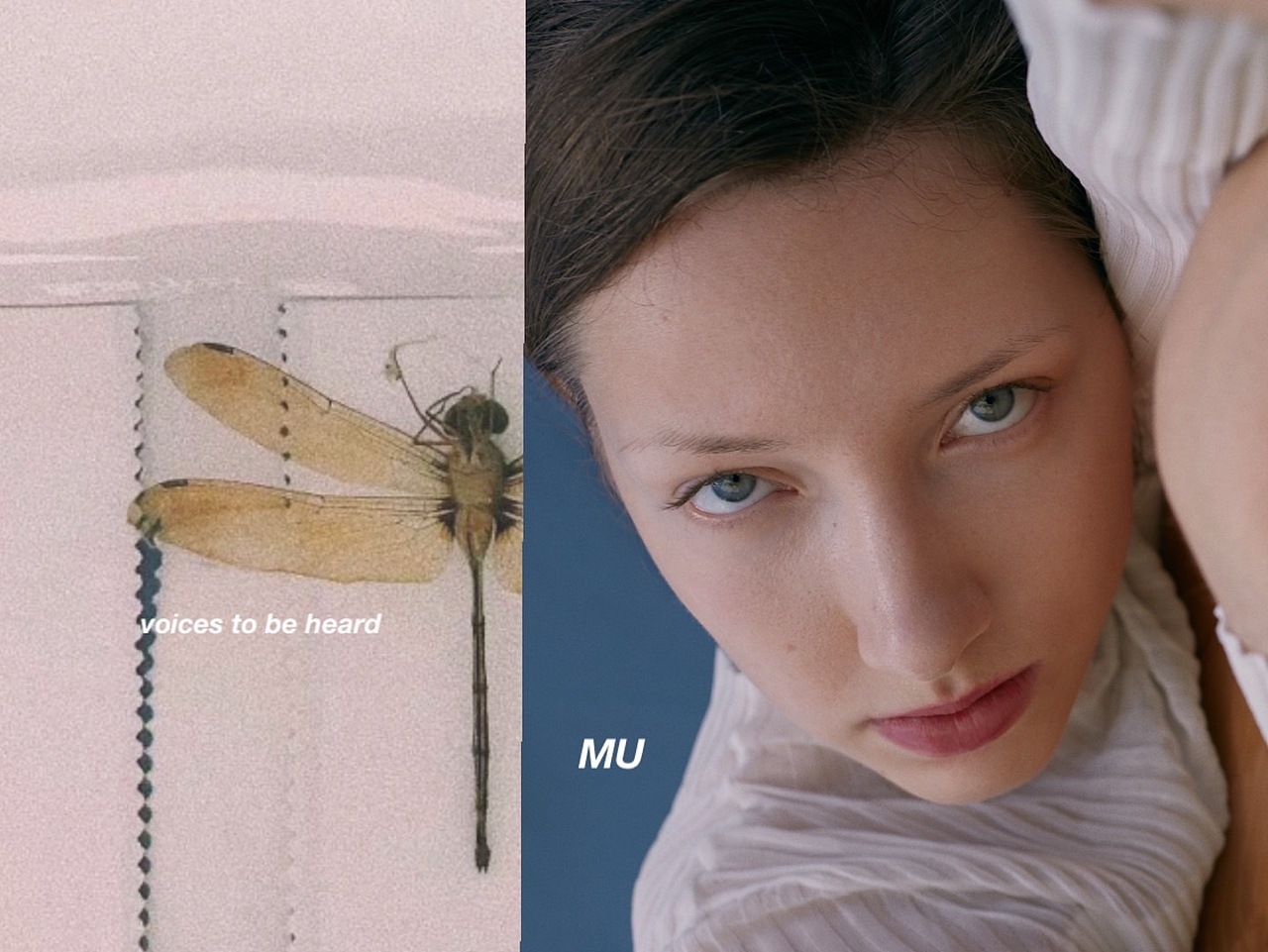 听到的声音（摄影小木）