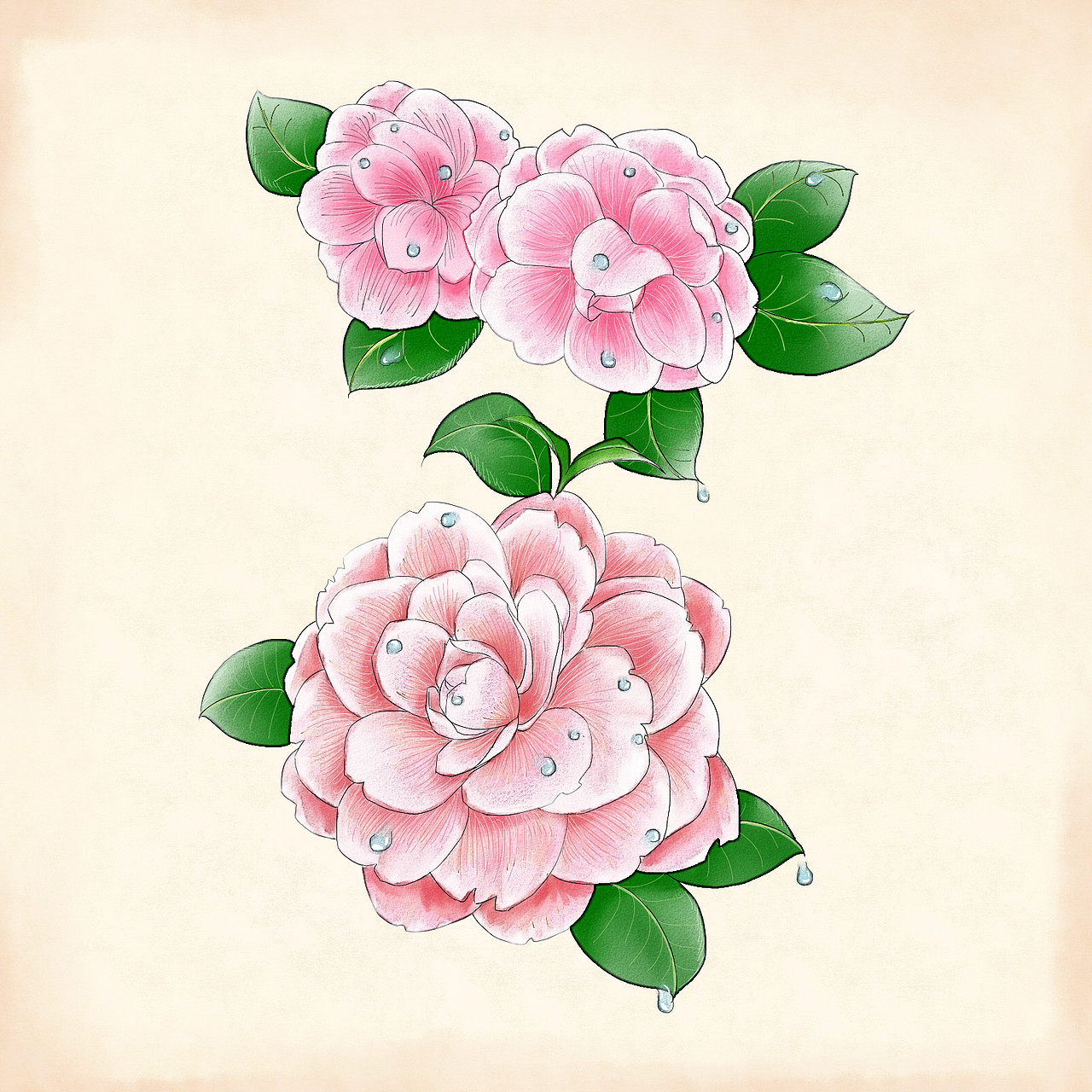 一些植物插画（图ZNDkxNjQ0MzY=） - 商业插画 - 站酷设计师Ms西子西原创素材 - 站酷ZCOOL