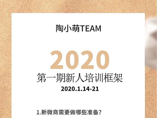 陶小萌TEAM2020第一期讲师团海报设计