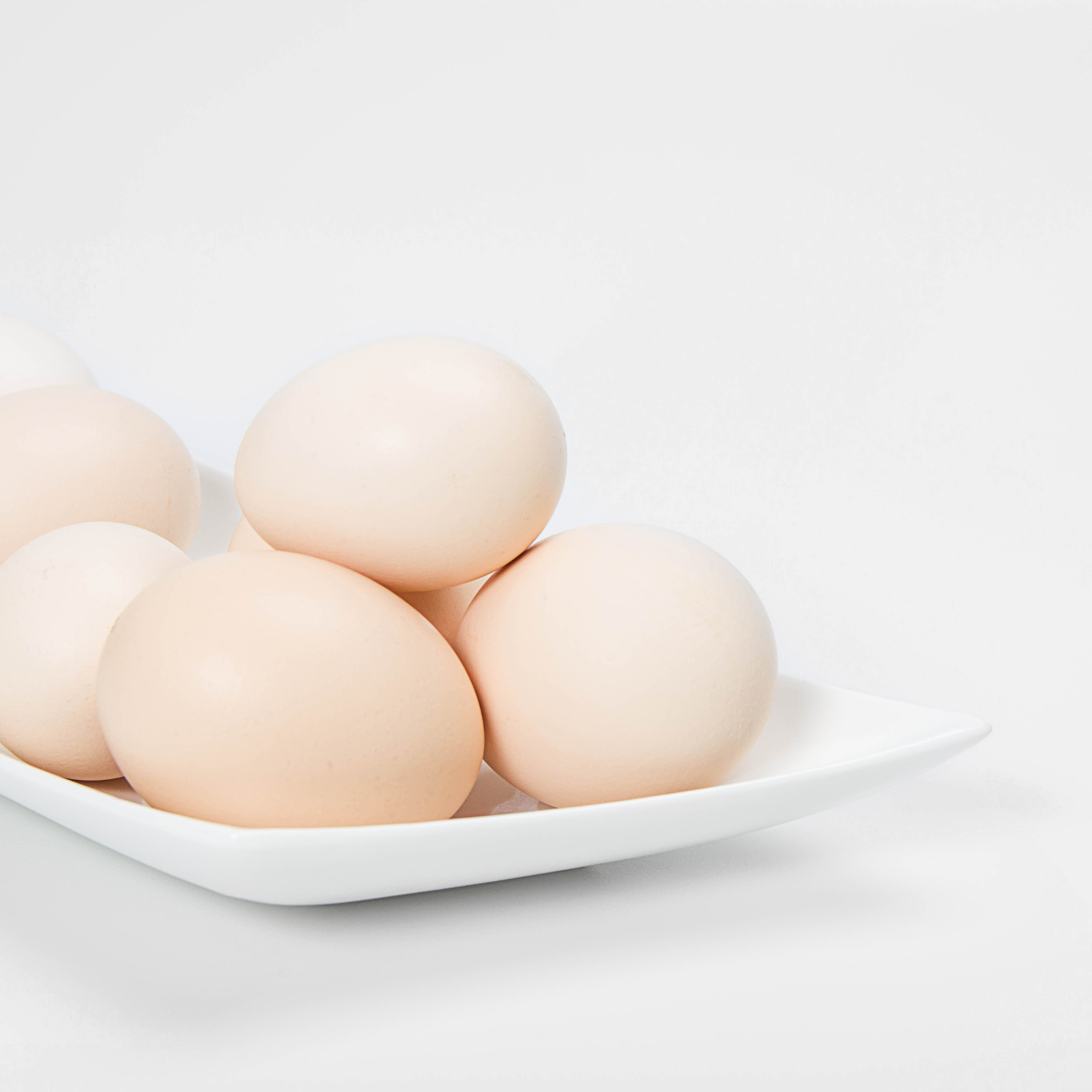 壹组鸡蛋/静物摄影/单个鸡蛋拍摄