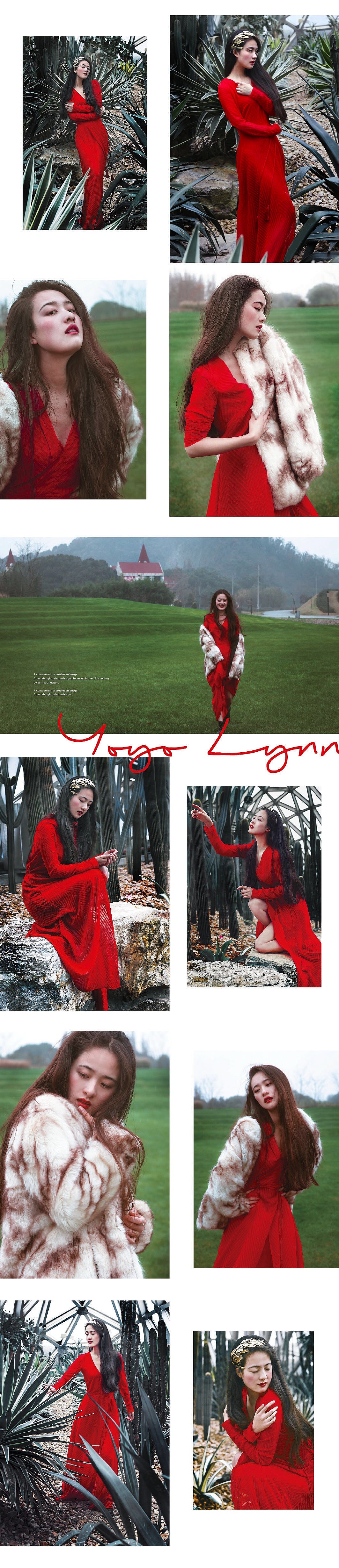 The beauty of thorn.
荆棘中绽放!<br>