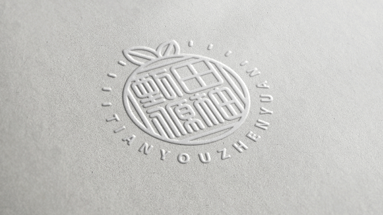 田柚甄源logo设计提案-飞机稿（图ZMTc1MTY1OTQ0） - Logo - 站酷设计师黑璞设计原创素材 - 站酷ZCOOL