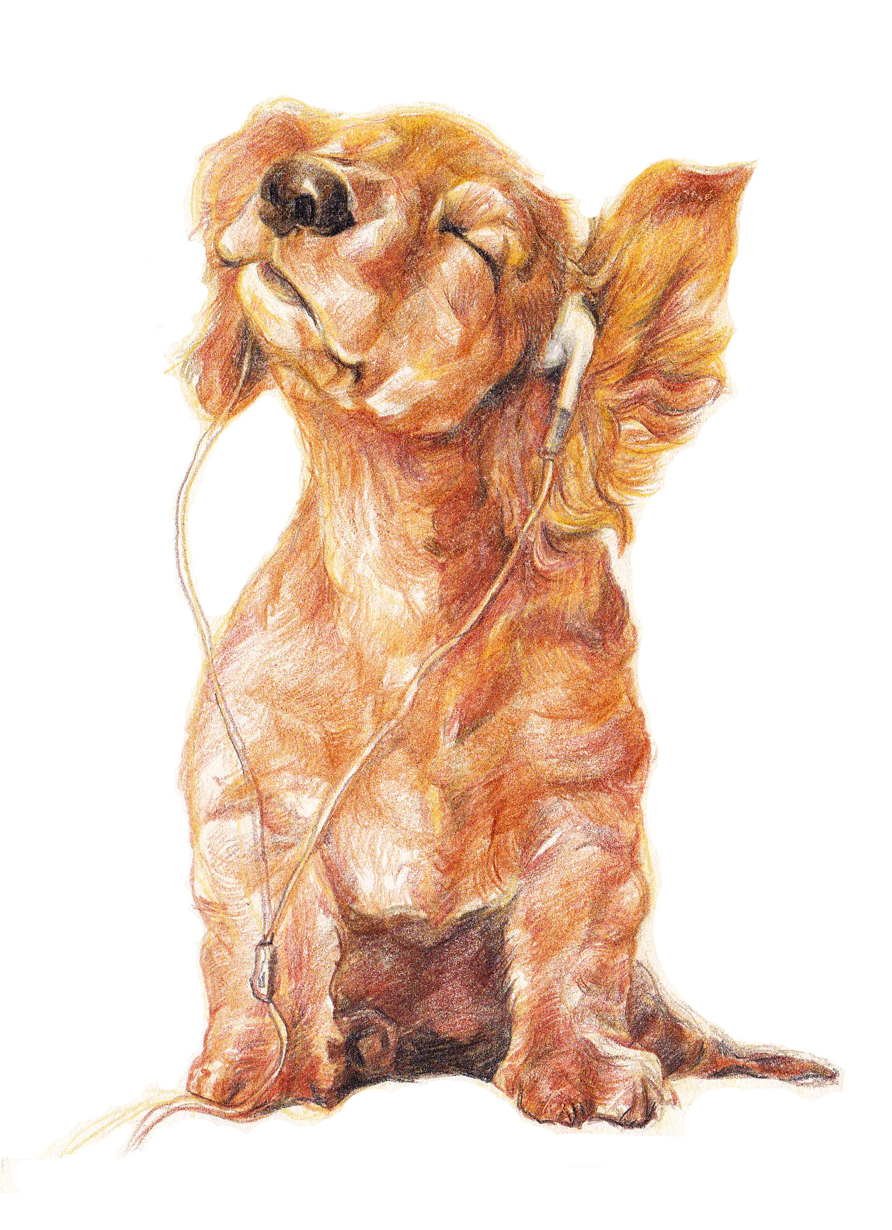 彩铅手绘--听音乐的狗狗