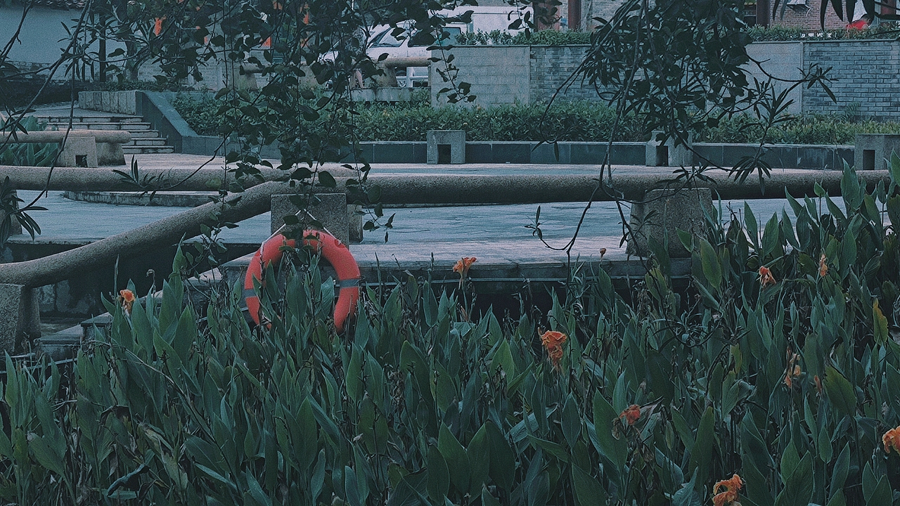#风景#摄影（图ZMjcxNTYzMjY4） - 风光摄影 - 站酷设计师温寻茶CL原创素材 - 站酷ZCOOL