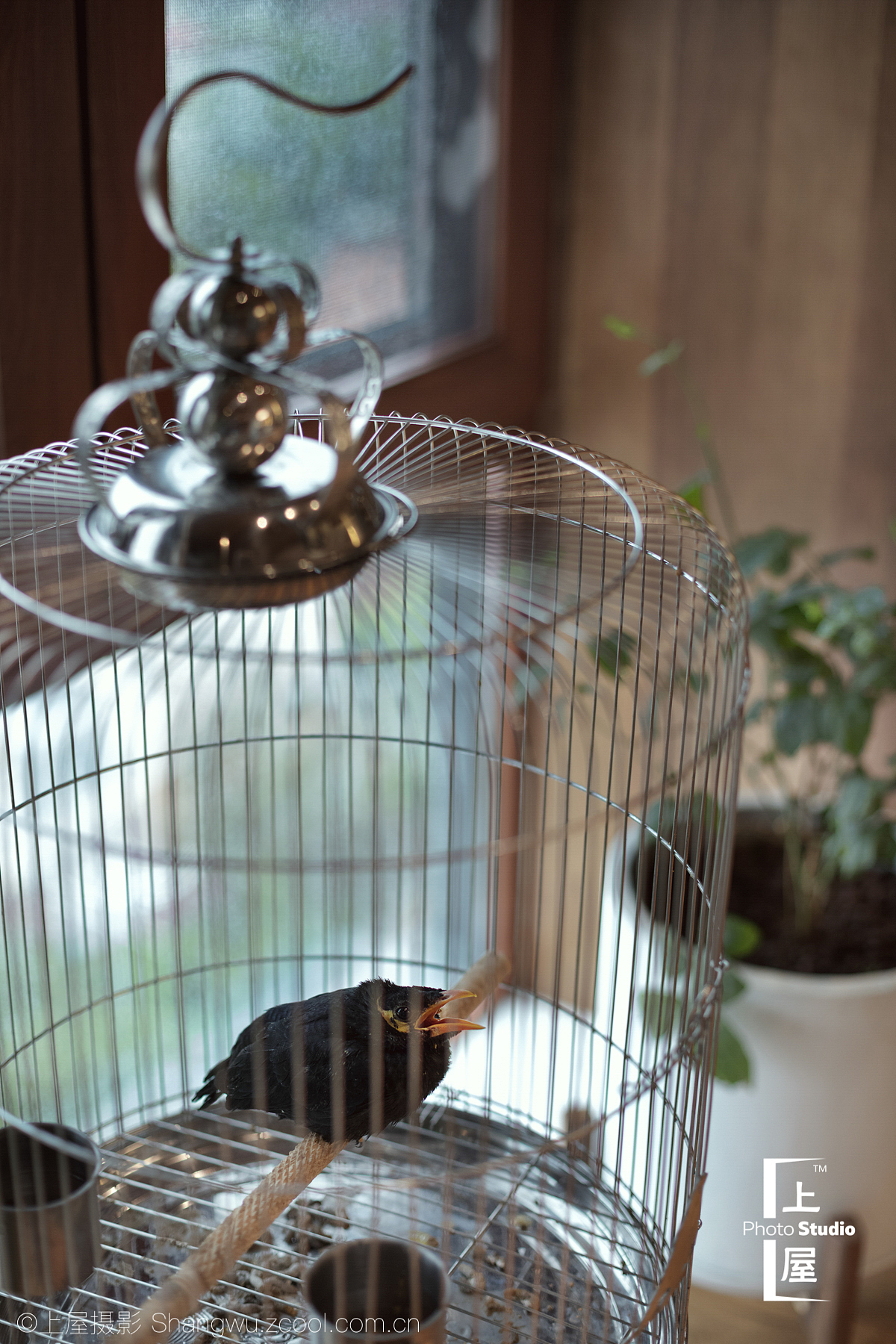 上屋摄影｜碧桂园 天玺湾｜美颂上镜（图ZMTIxOTQ3ODk2） - 环境/建筑摄影 - 站酷设计师上屋摄影原创素材 - 站酷ZCOOL