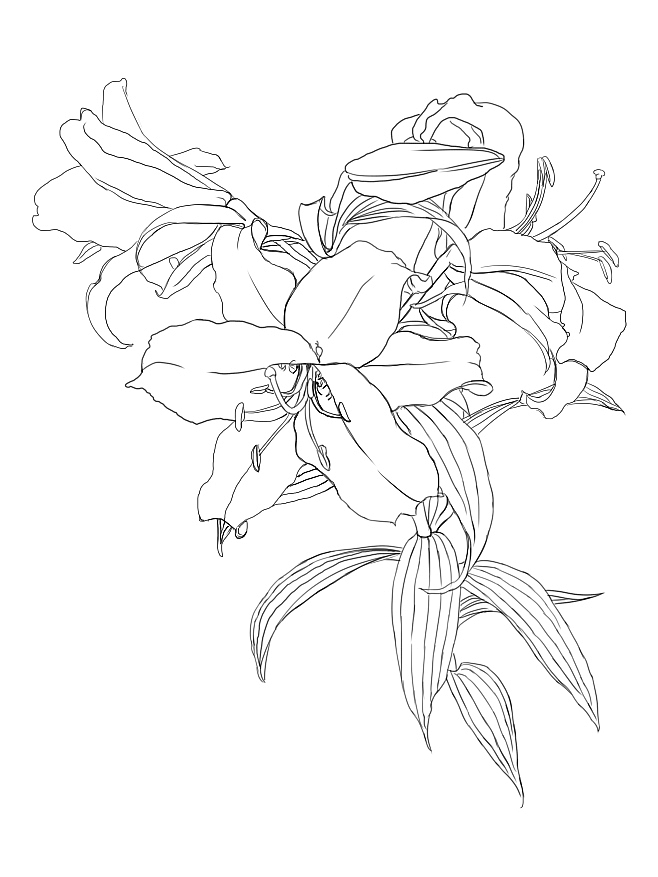 临摹线稿（图ZMTY1NjczNzg4） - 创作习作 - 站酷设计师青于浅原创素材 - 站酷ZCOOL