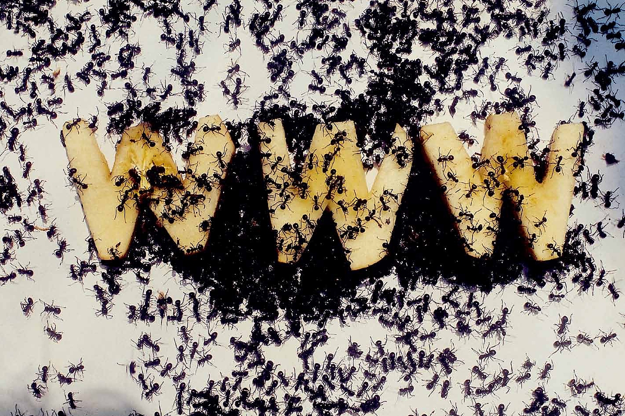 原创一一设计造型语言探索〈蒋志龙把玩平面设计〉