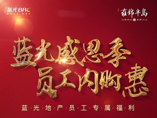 雍锦半岛-内部促销单图