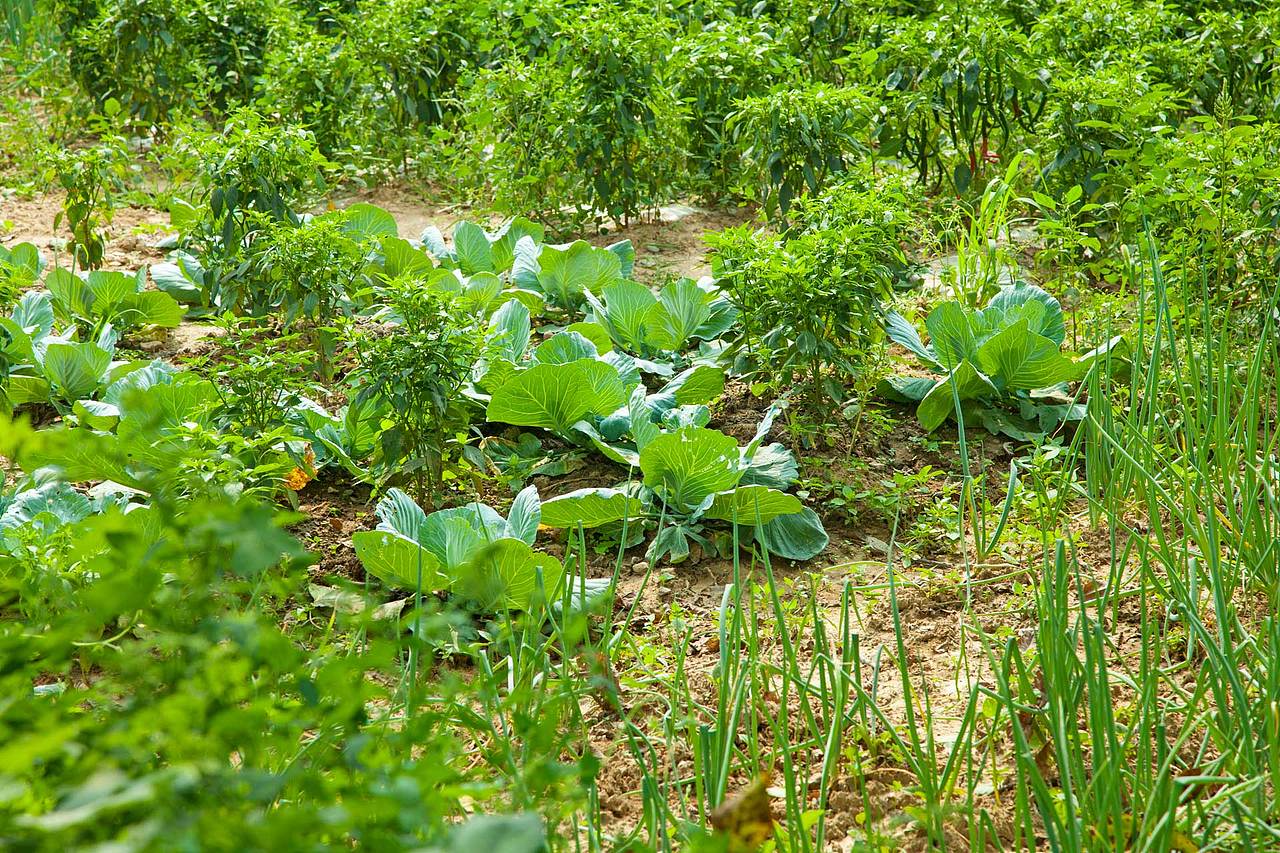 陕西洛南旅游扶贫摄影花絮集合