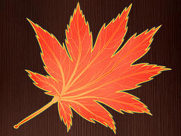楓葉