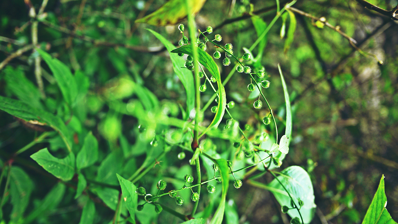 人间六月天重庆洪崖洞（图ZOTIwMzQ0ODA=） - 风光摄影 - 站酷设计师sevens777原创素材 - 站酷ZCOOL