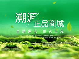 登录页面