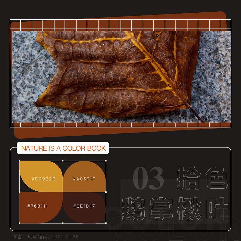 色彩（鹅掌楸）（图ZMjgyNzQ5ODUy） - 其他 - 站酷设计师风荷宿雨原创素材 - 站酷ZCOOL