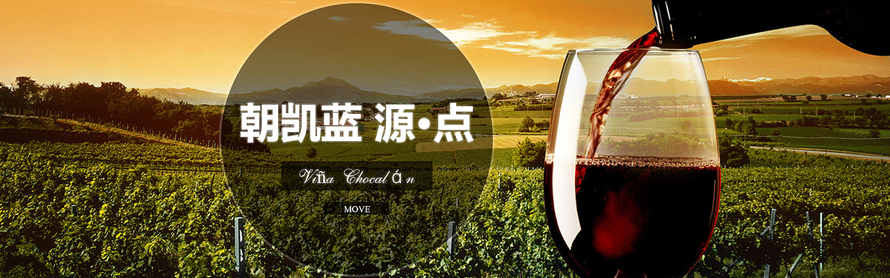 红酒banner（图ZNjEzODgxNzY=） - 运营设计 - 站酷设计师仁心原创素材 - 站酷ZCOOL