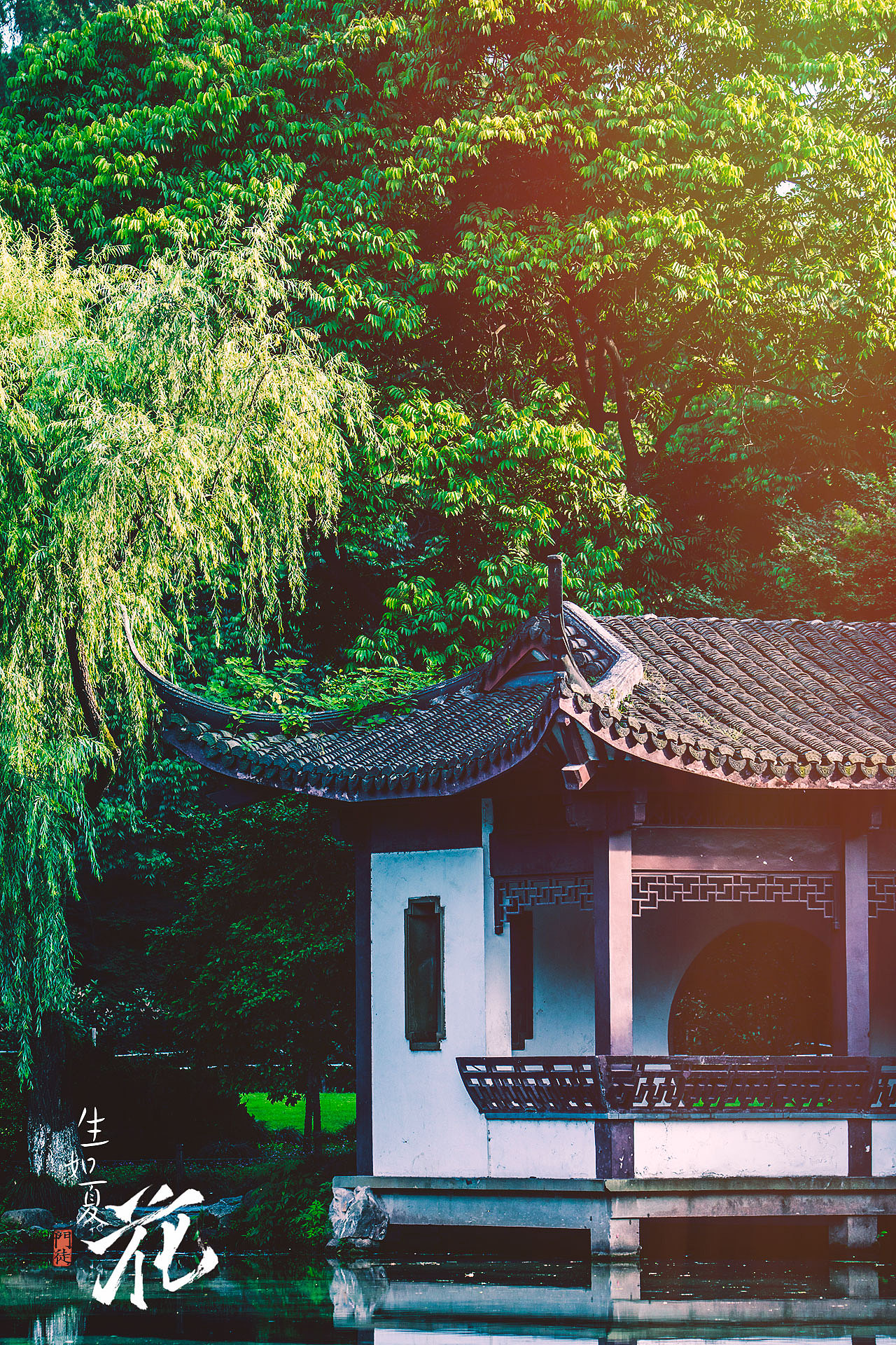 夏已盛开，风荷未满（图ZNTIwODYwNjQ=） - 风光摄影 - 站酷设计师修炎真吾原创素材 - 站酷ZCOOL