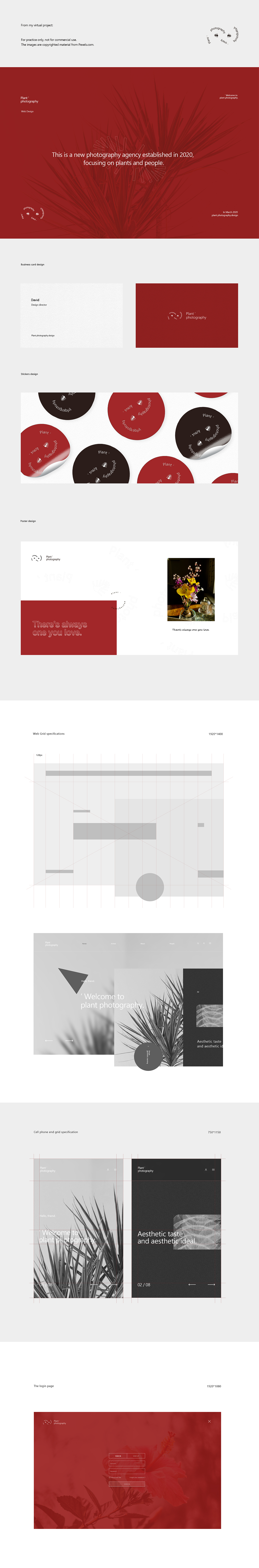 Plant Photography Web Design（图ZMjAwNTAwOTQ4） - 企业官网 - 站酷设计师我是杨柳啊原创素材 - 站酷ZCOOL