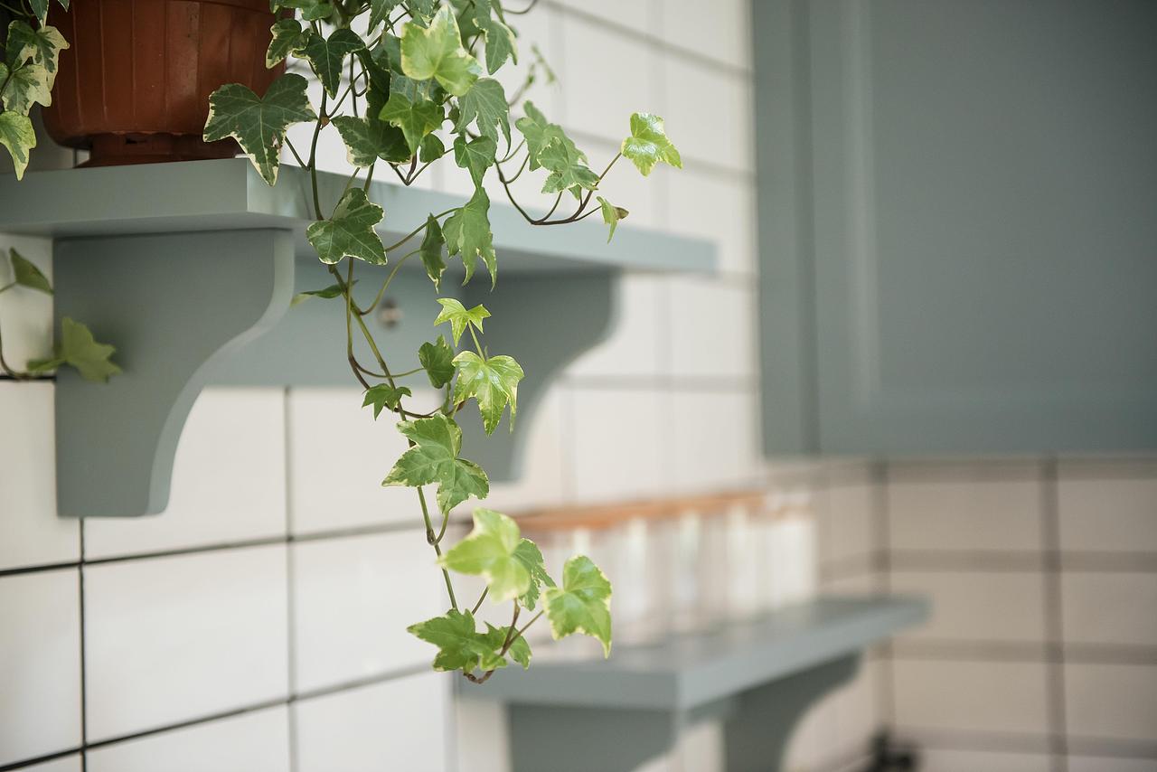 深圳装修:广信花园北欧ins风,小姐姐也太好看了吧~