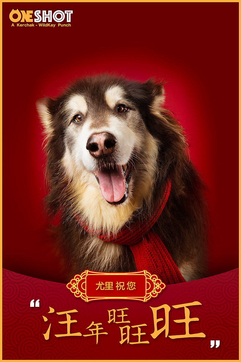 狗年过去一半了刚想起来我们在年初拍的百狗拜年图