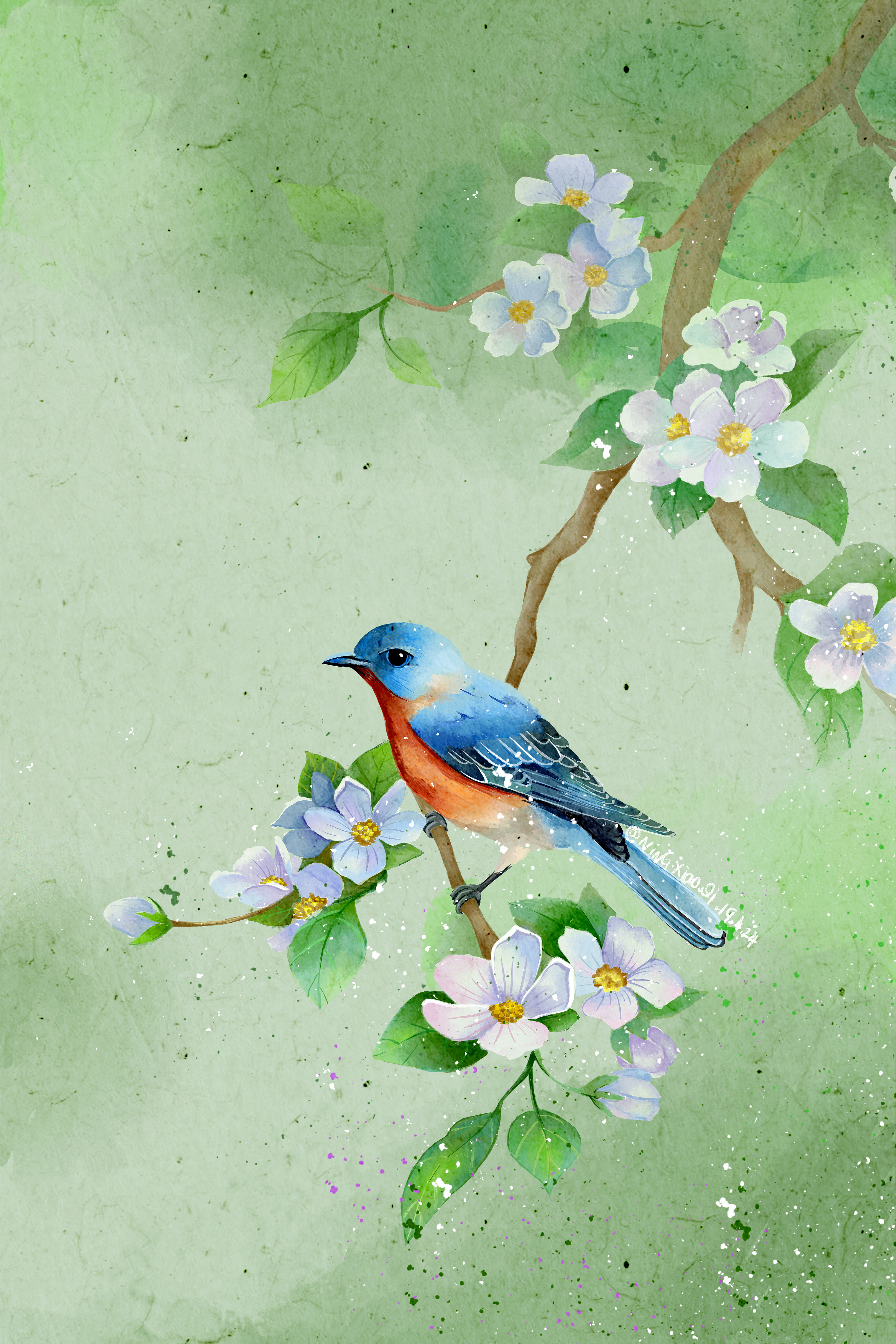 鸟语花香|插画|插画习作|柠小七qi - 原创作品 - 站酷 (zcool)