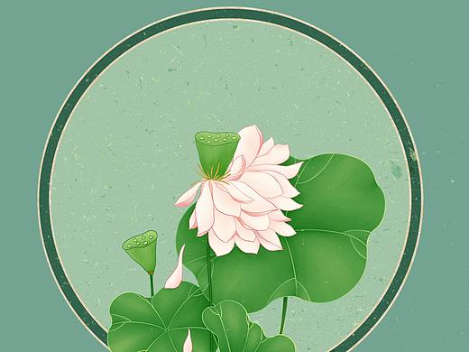 花卉系列插画（个人主页-ZNTQyMDYwNjA=） - 创作习作 - 站酷设计师星猩UI原创素材 - 站酷ZCOOL