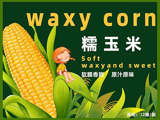 玉米包装插画