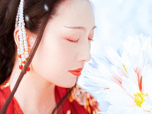 红梅白雪知