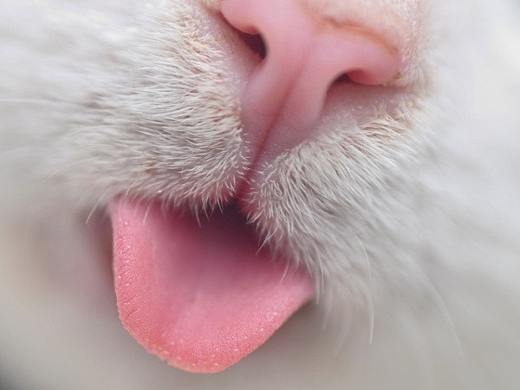 人物上色（个人主页-ZMjQxMzQ3NTY=） - 其他平面 - 站酷设计师有鱼有趣原创素材 - 站酷ZCOOL