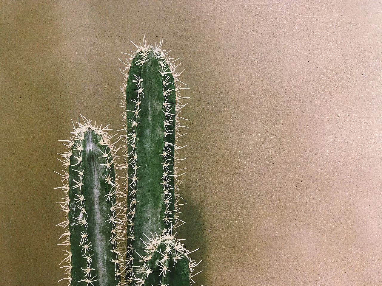 《2017年05月手机摄影精选》