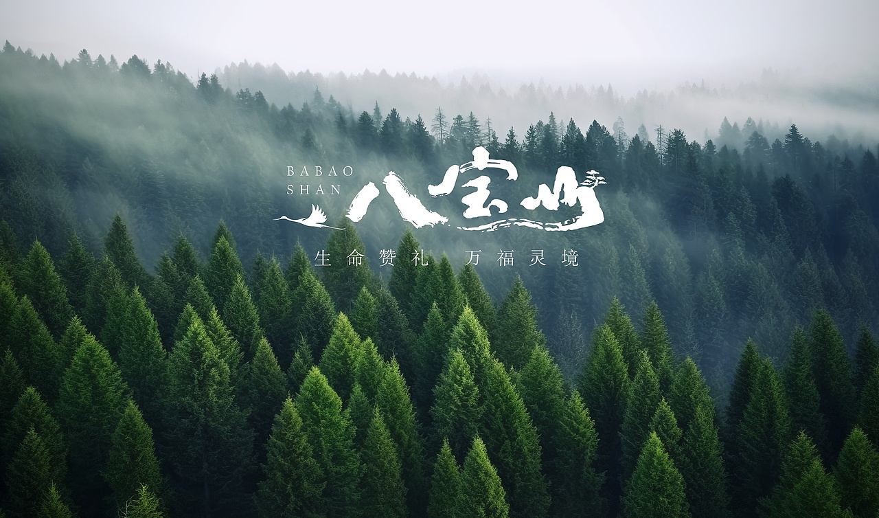 地产提报-万年长青（图ZMzY0NjUxMjY0） - 品牌 - 站酷设计师李柯镛原创素材 - 站酷ZCOOL
