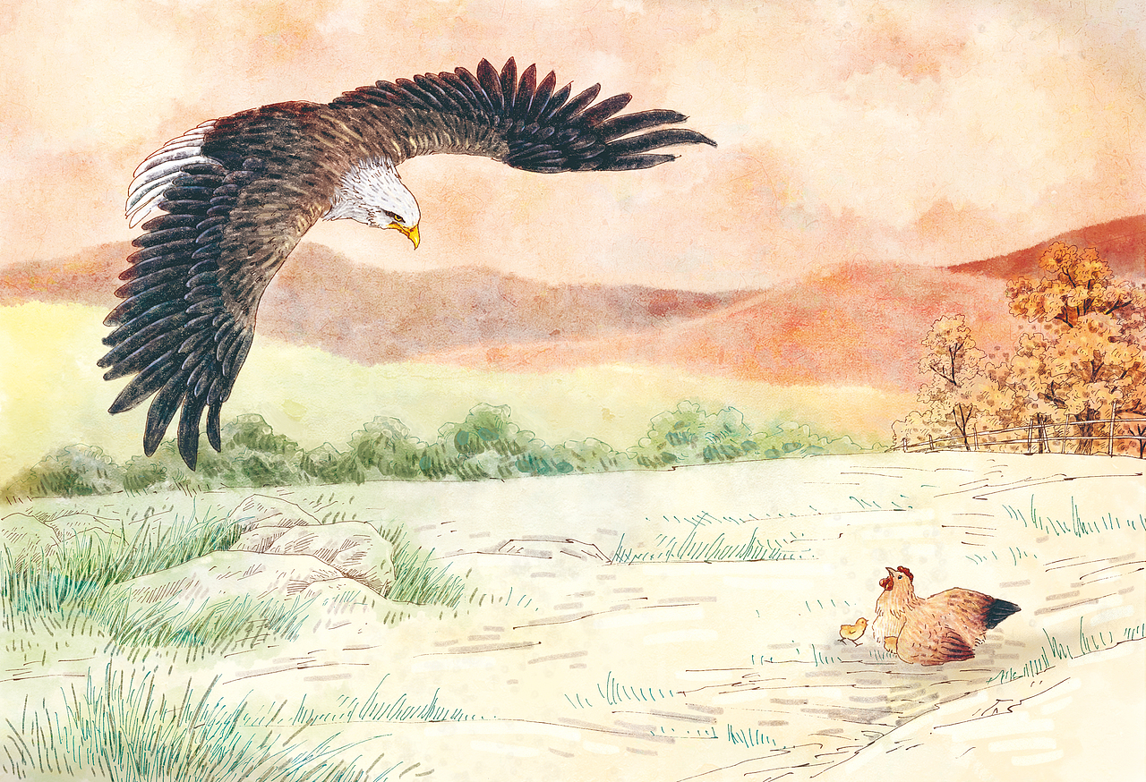 儿童插画 ▏《水彩动物绘本》24册